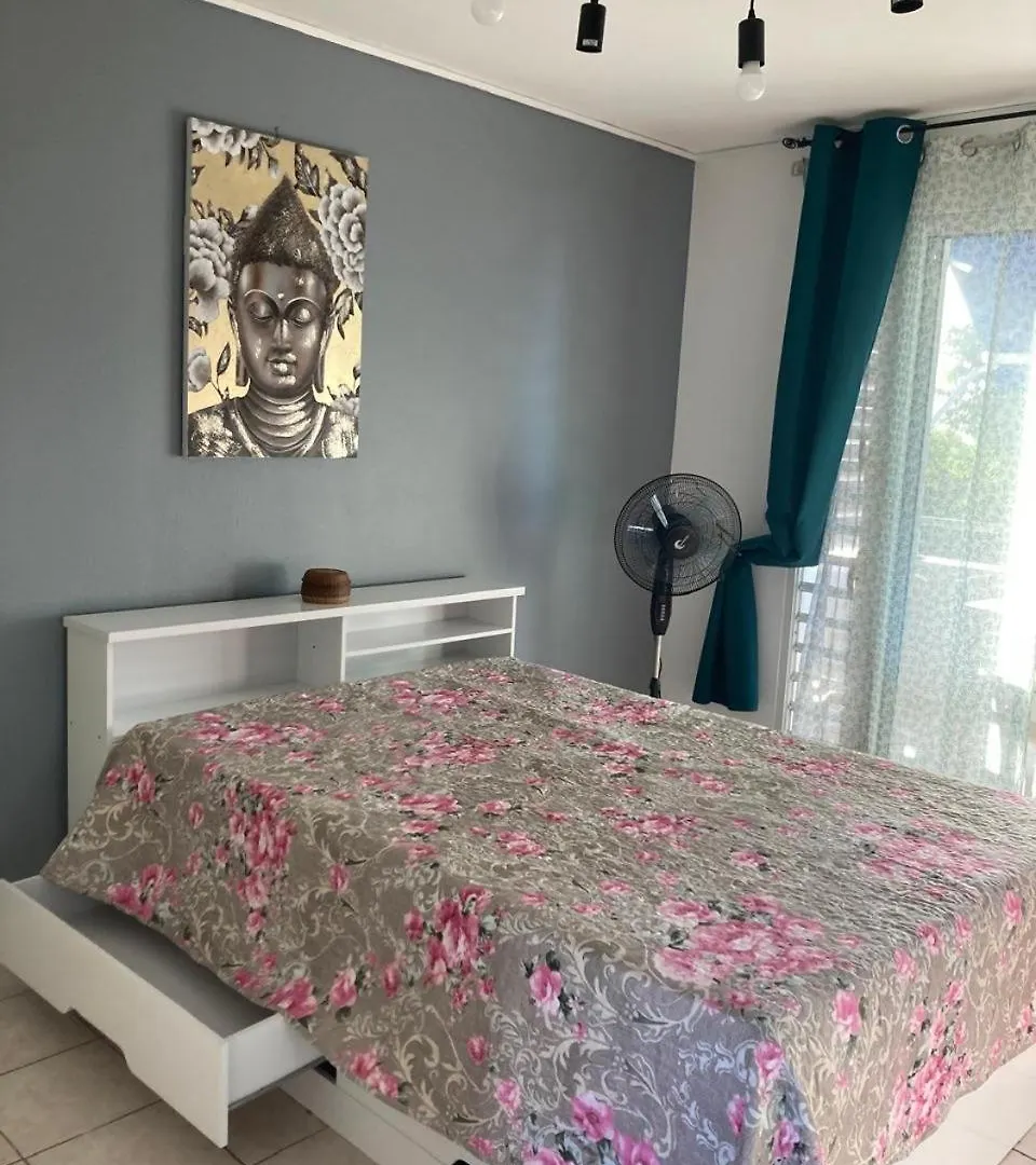 Peace Studio Pointe-a-Pitre